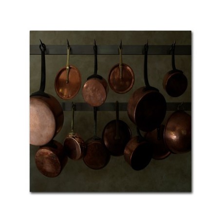 Geoffrey Ansel Agrons 'Hanging Copper' Canvas Art,14x14